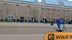 Realstockinvestsltd Netherlands Verified: No Physical Presence Found