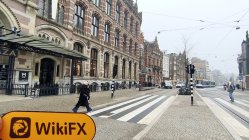 BitFXTrade Paesi Bassi  Verificato:  Nessuna presenza fisica rilevata