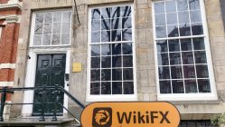 Springfxmarket Hollanda  Doğrulandı:  Fiziksel Varlık Bulunamadı