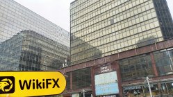 ZB Hong Kong  Verified:  No Physical Presence Found