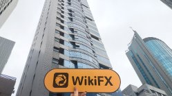 Portal Realm 홍콩  확인됨:  실제 사무소 미발견