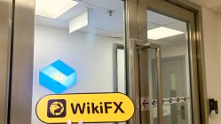 Portal Realm 홍콩  확인됨:  실제 사무소 미발견