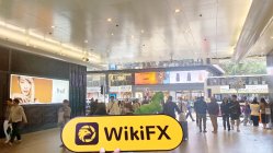 fx-farms 香港  検証済み:  物理的な拠点は確認されず