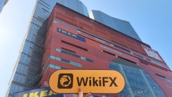 FXBulls Hong Kong  Terverifikasi:  Tidak Ada Kehadiran Fisik Ditemukan