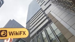 KOG FOREX Hong Kong  Verified:  No Physical Presence Found