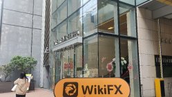 KOG FOREX Hong Kong  Verified:  No Physical Presence Found