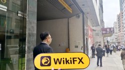 MIND STONE Hong Kong Verificado: No se encontró presencia física