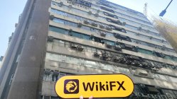 WANJIN Hong Kong  Doğrulandı:  Fiziksel Varlık Bulunamadı