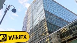 Prozone FX ฮ่องกง  ตรวจสอบแล้ว:  ไม่พบการมีอยู่ทางกายภาพ