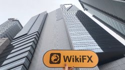 CGMA Trade Hong Kong  Doğrulandı:  Fiziksel Mevcudiyet Bulunamadı