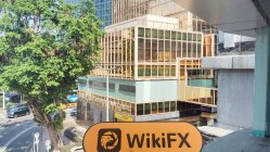 GOLD FLAME香港 認証済み: 物理的な存在が見つかりません