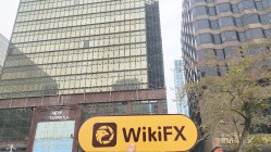 BPG हांगकांग  सत्यापित:  कोई भौतिक उपस्थिति नहीं मिली