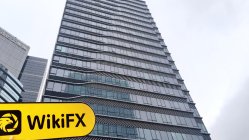 Is24k هونغ كونغ  تم التحقق:  لم يتم العثور على وجود مادي