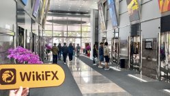 FULIXIN Hồng Kông (Delta House) Đã xác minh: Không tìm thấy sự hiện diện thực tế