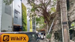 SINORICH SECURITIES Hong Kong Verificado: Escritório Operacional Confirmado