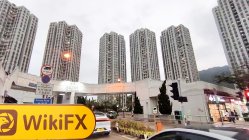 MGFALCONER Гонконг  Проверено:  Физическое присутствие не обнаружено