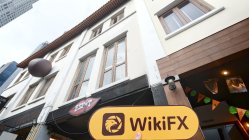 D Green Trading सिंगापुर  सत्यापित:  कोई भौतिक उपस्थिति नहीं मिली