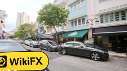 D Green Trading सिंगापुर  सत्यापित:  कोई भौतिक उपस्थिति नहीं मिली