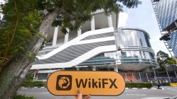 FORTIS EQUITY & RESERVE Сингапур  Проверено:  Физического присутствия не обнаружено