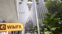 GOLDVISION CAPITAL Сингапур  Проверено:  Физическое присутствие не обнаружено