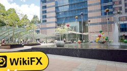 FX Connect Singapura  Verificado:  Nenhuma Presença Física Encontrada