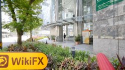 RedRock FX สิงคโปร์  ตรวจสอบแล้ว:  ไม่พบการมีอยู่ทางกายภาพ