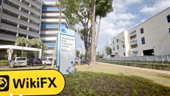 Bitrupt Singapur  Doğrulandı:  Fiziksel Varlık Bulunamadı