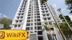 Consilium Global 新加坡  驗證：未找到實體存在