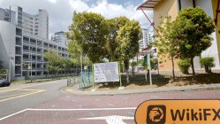 Consilium Global 新加坡  驗證：未找到實體存在