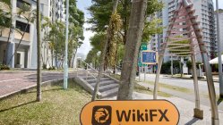 Consilium Global 新加坡  驗證：未找到實體存在