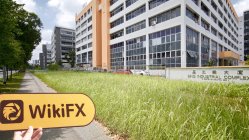 Growcapitalexchange シンガポール  確認済み:  物理的な存在は確認されず