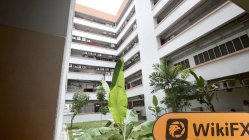 Growcapitalexchange シンガポール  確認済み:  物理的な存在は確認されず