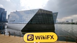 WEALTH TRADING FX Singapore  Verificato:  Nessuna Presenza Fisica Trovata