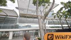 WEALTH TRADING FX Singapore  Verificato:  Nessuna Presenza Fisica Trovata