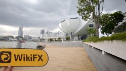 WEALTH TRADING FX Singapore  Verificato:  Nessuna Presenza Fisica Trovata