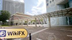 新加坡实地探访外汇交易商STARX CAPITAL MARKETS 存在真实展业场所