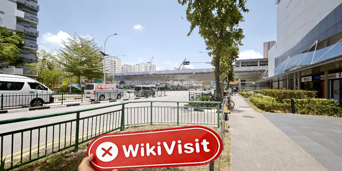 WISE EXPERT ADVISOR 新加坡  驗證結果： 未發現實體存在