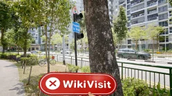 WISE EXPERT ADVISOR Singapore  Verified:  No Physical Presence Found