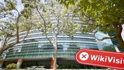 SygnumFX Singapore  Napatunayan:  Walang Nahanap na Pisikal na Presensiya