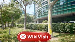 SygnumFX Singapore  Napatunayan:  Walang Nahanap na Pisikal na Presensiya