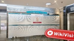 वाईएल हांगकांग  सत्यापित:  कोई भौतिक उपस्थिति नहीं मिली