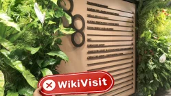 Astla Upscale برطانیہ تصدیق شدہ: جسمانی موجودگی نہیں ملی