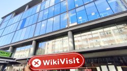 英国实地探访外汇交易商BITBLOOMX 不存在真实展业场所