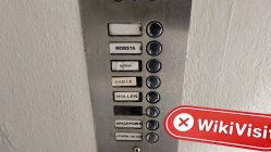 ELON MEME25 영국  확인됨:  물리적 존재 발견되지 않음