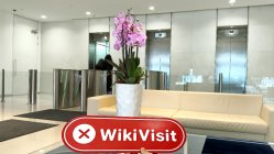 Defi Pro Solution المملكة المتحدة  تم التحقق:  لم يتم العثور على وجود فعلي