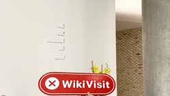 Pangea FX المملكة المتحدة  تم التحقق:  لم يتم العثور على وجود فعلي