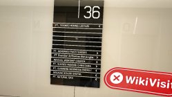 Esandar Indonesia  Verificado:  No se encontró presencia física