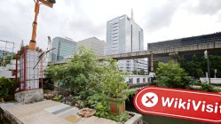 Marketswind Indonesia  Verified:  No Physical Presence Found