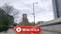 Rineplex United Kingdom  Verified:  No Physical Presence Found