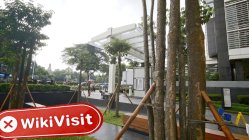 Fition Endonezya Doğrulandı: Fiziksel Varlık Bulunamadı